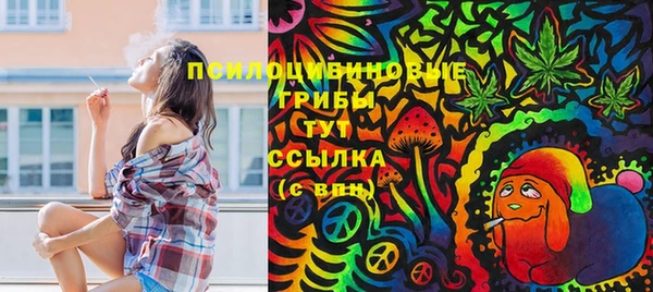 бутират Арсеньев