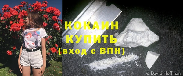 шишки Новодвинск
