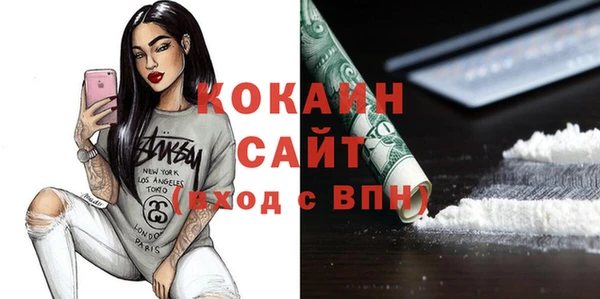 шишки Новодвинск