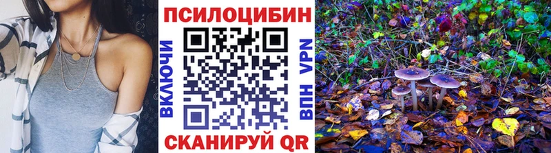 shop Telegram  Сибай  Галлюциногенные грибы Magic Shrooms 