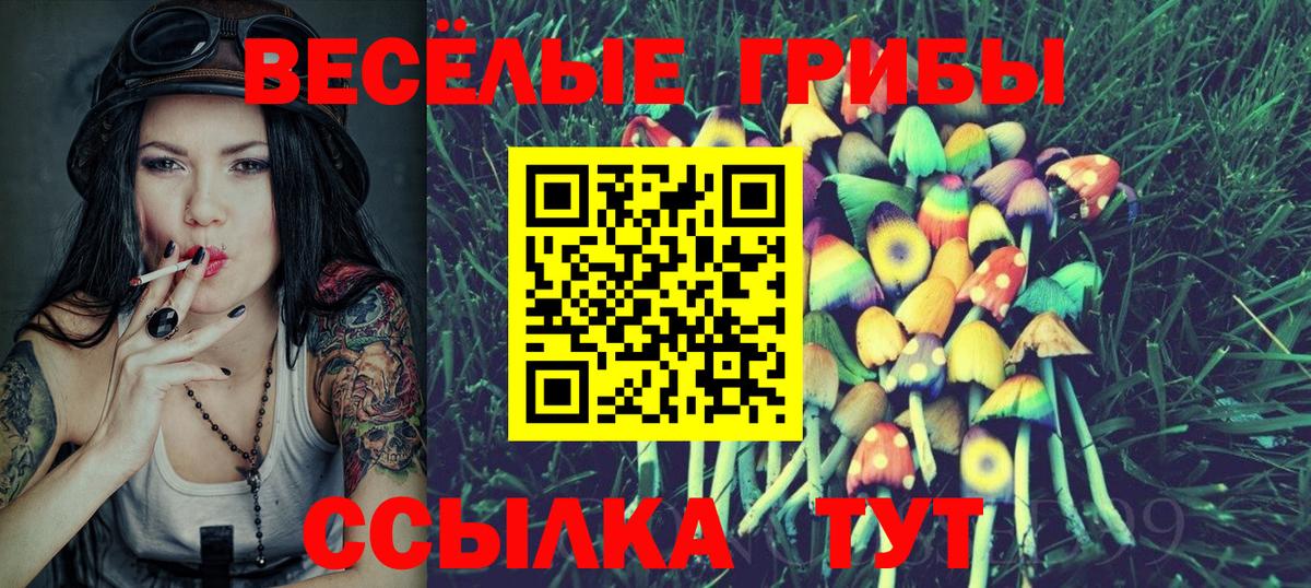 Сибай  Псилоцибиновые грибы GOLDEN TEACHER  Вход с VPN  Галлюциногенные грибы MAGIC MUSHROOMS 