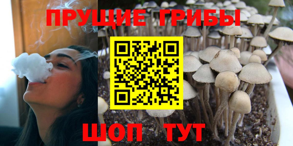 Галлюциногенные грибы Magic Shrooms Сибай