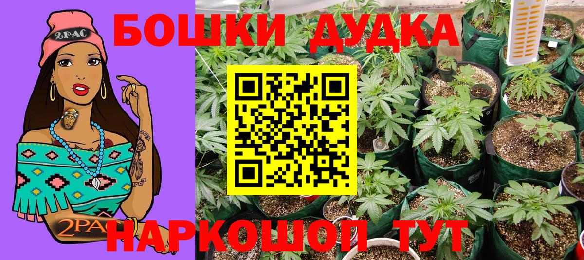 Каннабис MAZAR Сибай